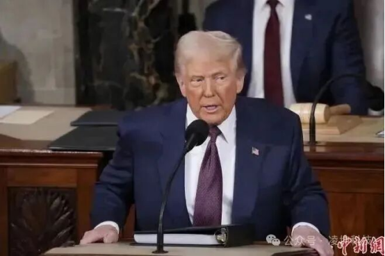 1772073916130810.png image.png